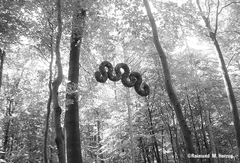 Holz, Kunstwerk Künstler Holzkunst, Kleinblittersdorf, Sitterswald , Wald, Spaziergang, Natur