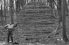 Holz, Kunstwerk Künstler Holzkunst, Kleinblittersdorf, Sitterswald , Wald, Spaziergang, Natur