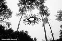 Holz, Kunstwerk Künstler Holzkunst, Kleinblittersdorf, Sitterswald , Wald, Spaziergang, Natur