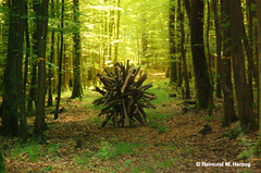 Holz, Kunstwerk Künstler Holzkunst, Kleinblittersdorf, Sitterswald , Wald, Spaziergang, Natur