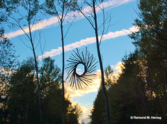 Holz, Kunstwerk Künstler Holzkunst, Kleinblittersdorf, Sitterswald , Wald, Spaziergang, Natur