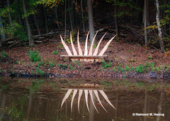 Holz, Kunstwerk Künstler Holzkunst, Kleinblittersdorf, Sitterswald , Wald, Spaziergang, Natur