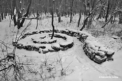 Holz, Kunstwerk Künstler Holzkunst, Kleinblittersdorf, Sitterswald , Wald, Spaziergang, Natur