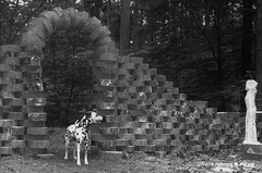 Holz, Kunstwerk Künstler Holzkunst, Kleinblittersdorf, Sitterswald , Wald, Spaziergang, Natur