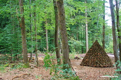 Holz, Kunstwerk Künstler Holzkunst, Kleinblittersdorf, Sitterswald , Wald, Spaziergang, Natur