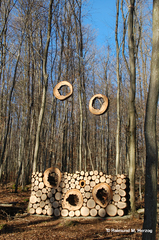 Holz, Kunstwerk Künstler Holzkunst, Kleinblittersdorf, Sitterswald , Wald, Spaziergang, Natur