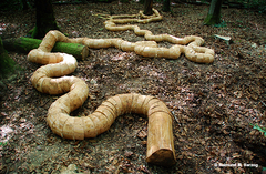 Holz, Kunstwerk Künstler Holzkunst, Kleinblittersdorf, Sitterswald , Wald, Spaziergang, Natur