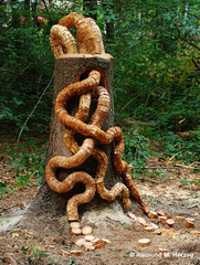 Holz, Kunstwerk Künstler Holzkunst, Kleinblittersdorf, Sitterswald , Wald, Spaziergang, Natur