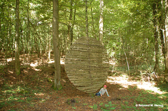 Holz, Kunstwerk Künstler Holzkunst, Kleinblittersdorf, Sitterswald , Wald, Spaziergang, Natur