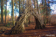 Holz, Kunstwerk Künstler Holzkunst, Kleinblittersdorf, Sitterswald , Wald, Spaziergang, Natur