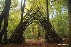 Holz, Kunstwerk Künstler Holzkunst, Kleinblittersdorf, Sitterswald , Wald, Spaziergang, Natur