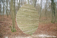 Holz, Kunstwerk Künstler Holzkunst, Kleinblittersdorf, Sitterswald , Wald, Spaziergang, Natur