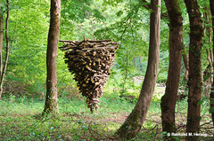 Holz, Kunstwerk Künstler Holzkunst, Kleinblittersdorf, Sitterswald , Wald, Spaziergang, Natur