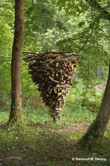 Holz, Kunstwerk Künstler Holzkunst, Kleinblittersdorf, Sitterswald , Wald, Spaziergang, Natur