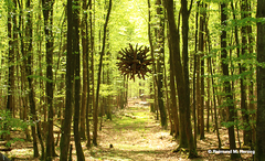 Holz, Kunstwerk Künstler Holzkunst, Kleinblittersdorf, Sitterswald , Wald, Spaziergang, Natur