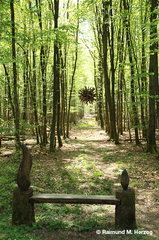 Holz, Kunstwerk Künstler Holzkunst, Kleinblittersdorf, Sitterswald , Wald, Spaziergang, Natur